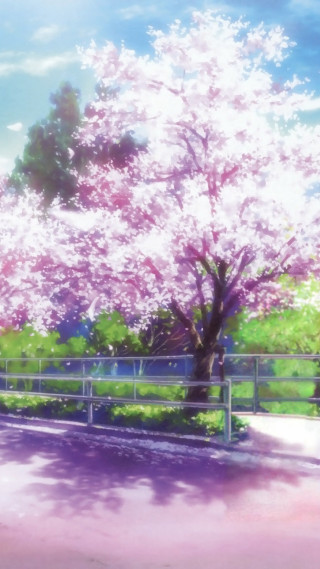 Tree park fence bench foreground - free spring wallpaper for mobile