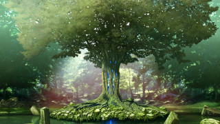 Tree forest pond rocks painting - ufotable free wallpaper for desktop