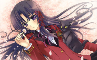 Woman long hair cat on - long hair and a cat free wallpaper