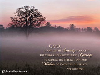Foggy field tree serenity prayer - a foggy field free wallpaper