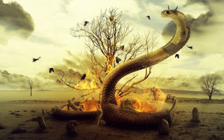 Snake firepit birds flying tree - a snake free wallpaper