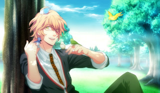 Man sitting tree bird shoulder - his shoulder and a bird free wallpaper