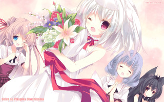 Anime girls flowers hair dresses - the other holding free wallpaper for desktop