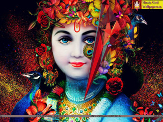 Woman bird head red beak - her head and a bird free wallpaper