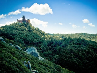 Castle hill forest blue sky 3 - a forest below free wallpaper