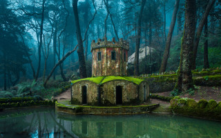Small tower forest pond nature - free architecture wallpaper for desktop