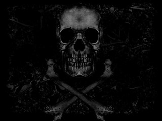 Skull crossbones black background white 5 - a white skull free wallpaper