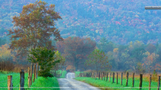 Country road fence trees mountain - a fence and trees free wallpaper