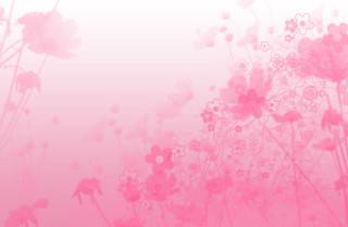 Pink background flowers butterflies side - flower and butterflies free wallpaper