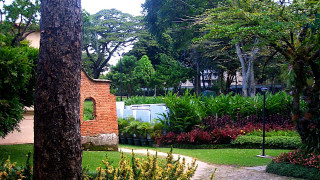 Park clocktower garden path building - a park free wallpaper