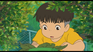 Boy looking green plant cartoon - ghibli free wallpaper