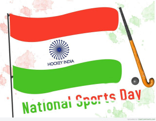 National sports day poster flag - national free wallpaper