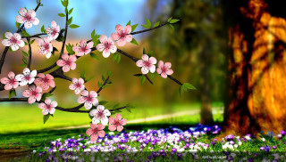 Tree pink flowers field blue - a painting of a tree free wallpaper for desktop