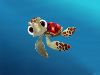 Cartoon turtle swimming ocean big - big eye free wallpaper