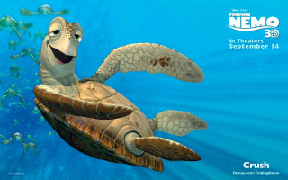 Cartoon turtle swimming ocean caption - cliff childs free wallpaper for desktop