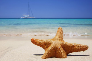 Starfish beach boat ocean background - a starfish free wallpaper