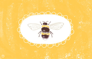 Bee yellow background white circle - illustration free wallpaper