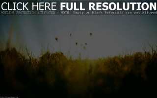 Field grass sky click here - cinematic matte painting free wallpaper for desktop