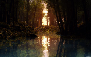 Lake trees forest sun reflection - volumetric lighting free wallpaper for desktop