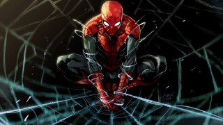 Spider man sitting web dark - his knee free wallpaper