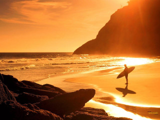 Person holding surfboard walking beach 6 - golden hour free wallpaper