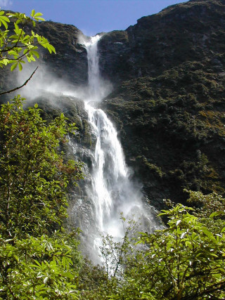 Waterfall through trees bushes foreground - a waterfall free wallpaper for mobile