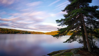 Lake trees forest blue sky - arvid nyholm free wallpaper