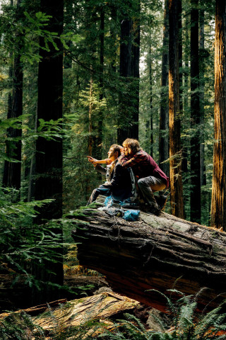 Forest pond romantic figure lens - christopher moeller free wallpaper for mobile