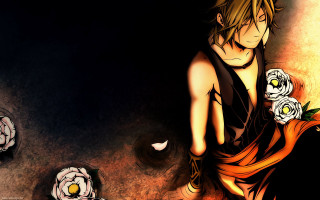 Woman flower hair black dress 2 - a yellow eye free wallpaper