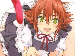 Anime girl green eyes cat - her body free wallpaper