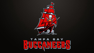 Tampa bay buccaneers logo skull 2 - a skull free wallpaper for desktop
