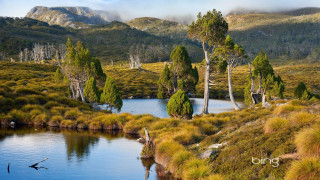 Lake trees grass mountainside valley - elizabeth durack free wallpaper