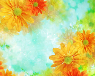 Orange yellow flowers blue background - a green border free wallpaper