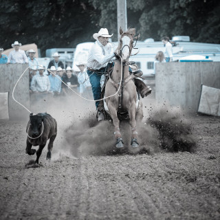 Man horse chasing dog rodeo - photograph free wallpaper for tablet