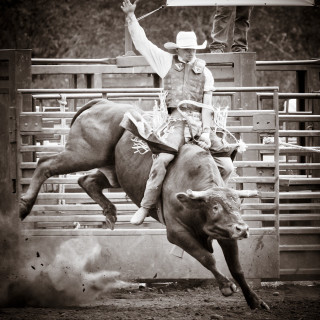 Man riding bull rodeo lasso - photograph free wallpaper for tablet