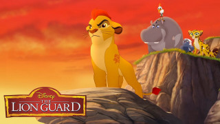 Lion guard sunset rock animals - the background and a sunset in the background free wallpaper