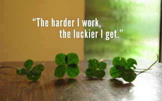 Table green leaves quote author - cornelia parker free wallpaper