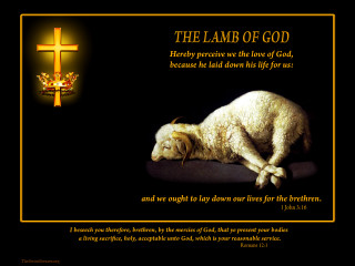 Sheep cross bible verse background - a sheep free wallpaper