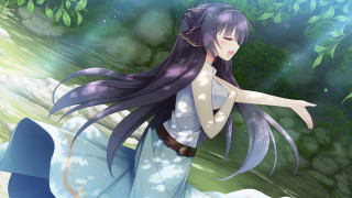 Woman longhair whitedress forest magic - flowing hair free wallpaper for desktop