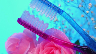 Pink rose blue toothbrush water - a pink rose free wallpaper for desktop