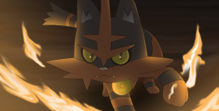 Fire cat ember flame molten - a black face free wallpaper