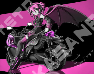 Woman motorcycle bat backseat pink - seat free wallpaper