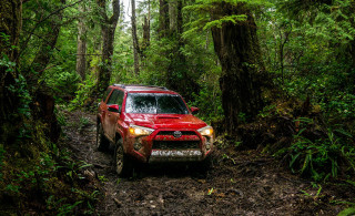 Red truck driving forest trail - pathfinder free wallpaper