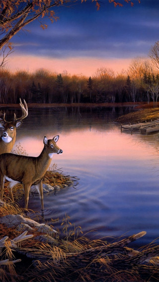 Deer water tree boat sunset - realistic free wallpaper