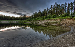 Lake trees forest cloudy sky - the shore free wallpaper