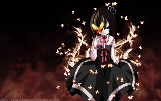 Girl bird rock fire stars - fire in the background free wallpaper