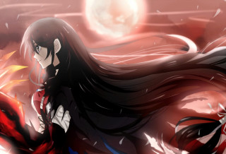 Woman long hair red cape - a red cape free wallpaper