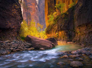 River canyon mountains trees nature - a canyon free wallpaper