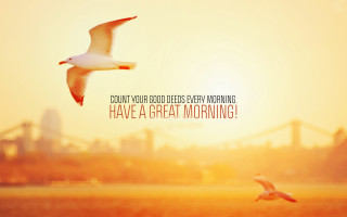 Bird water sunset quote morning - a sunset in the background and a quote free wallpaper
