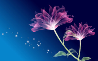 Pink flower blue background stars - a green stem free wallpaper